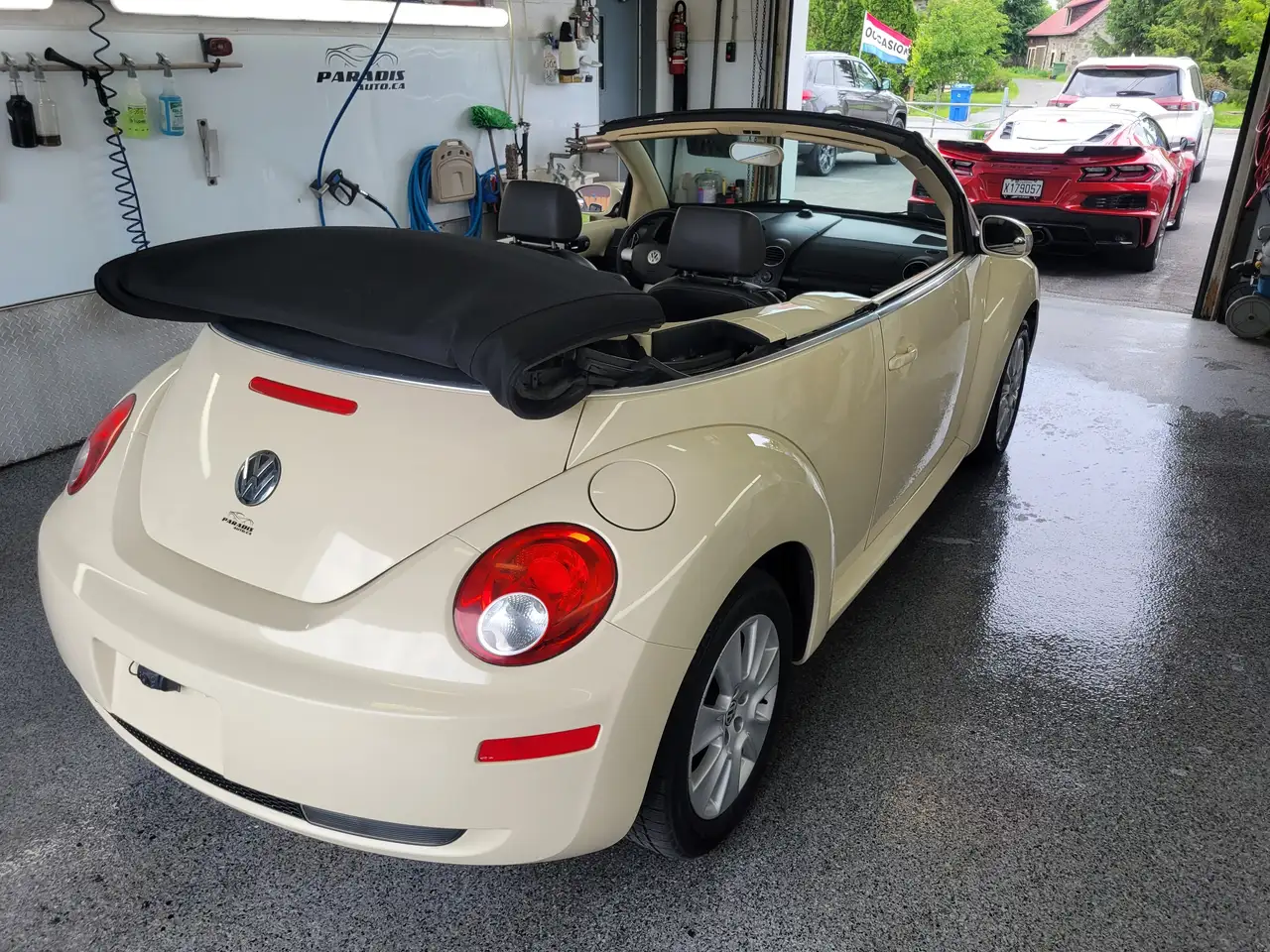 Volkswagen Beetle photo Volkswagen Beetle