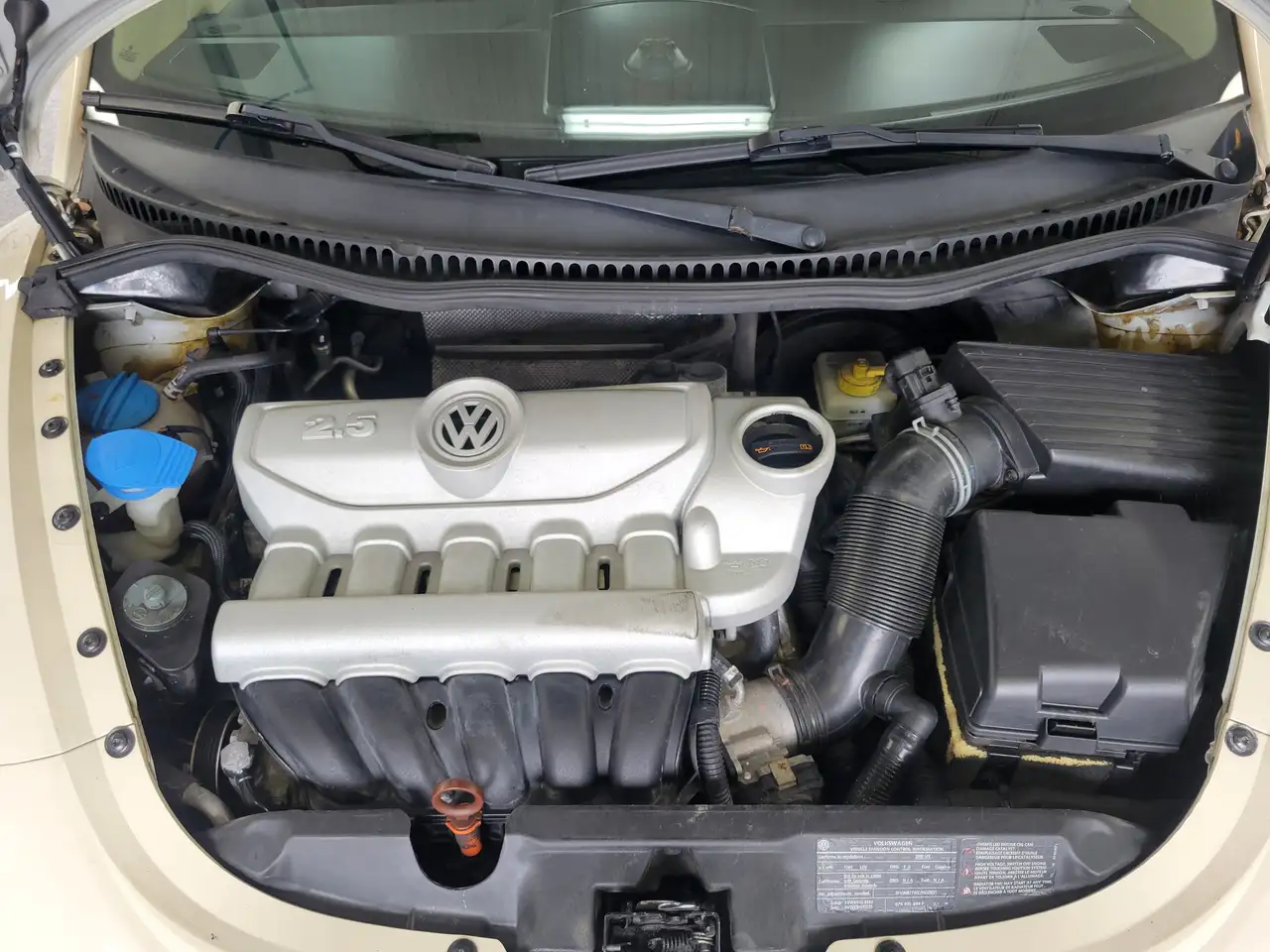 Volkswagen Beetle photo Volkswagen Beetle