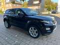 Land Rover Range Rover Evoque Evoque 2.2 TD4 4WD Dynamic Noir - thumbnail 9