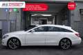 Mercedes-Benz CLS 250 Mercedes-Benz CLS 250 CDI SW Shootin Brake BlueEF Alb - thumbnail 4