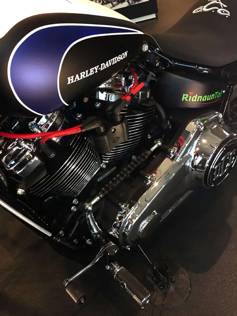 Harley-Davidson Softail Softail Breakout- unico esemplare al mondo - 2