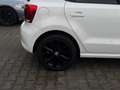 Volkswagen Polo 1.2 TSI Highline PANO/STLVRM/PDC/CRUISE/CLIMA/APK Blanc - thumbnail 21