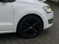 Volkswagen Polo 1.2 TSI Highline PANO/STLVRM/PDC/CRUISE/CLIMA/APK Blanc - thumbnail 22