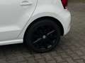 Volkswagen Polo 1.2 TSI Highline PANO/STLVRM/PDC/CRUISE/CLIMA/APK Blanc - thumbnail 18