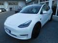 Tesla Model Y Model Y Long Range AWD Blanc - thumbnail 1