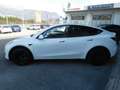 Tesla Model Y Model Y Long Range AWD Blanc - thumbnail 7