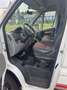 Fiat Ducato Ducato 120 Multijet 2.3D 250L Renntransporter Kart Weiß - thumbnail 6