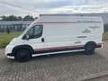 Fiat Ducato Ducato 120 Multijet 2.3D 250L Renntransporter Kart Weiß - thumbnail 3
