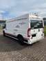 Fiat Ducato Ducato 120 Multijet 2.3D 250L Renntransporter Kart Weiß - thumbnail 5