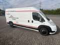 Fiat Ducato Ducato 120 Multijet 2.3D 250L Renntransporter Kart Weiß - thumbnail 4
