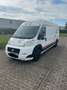 Fiat Ducato Ducato 120 Multijet 2.3D 250L Renntransporter Kart Weiß - thumbnail 2