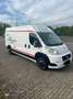 Fiat Ducato Ducato 120 Multijet 2.3D 250L Renntransporter Kart Weiß - thumbnail 1