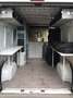 Fiat Ducato Ducato 120 Multijet 2.3D 250L Renntransporter Kart Weiß - thumbnail 9