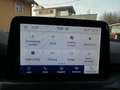 Ford Focus 2,0 EcoBlue Active,* LED, B&O., ACC, Standheiz.,.* Blau - thumbnail 32