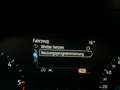 Ford Focus 2,0 EcoBlue Active,* LED, B&O., ACC, Standheiz.,.* Blau - thumbnail 42
