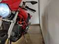 Ducati Monster S4R MY 2005 Rosso - thumbnail 3