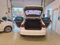 Audi A3 A3 Sportback 1.6 tdi Business 110cv E6 Weiß - thumbnail 18