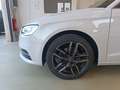 Audi A3 A3 Sportback 1.6 tdi Business 110cv E6 Weiß - thumbnail 20