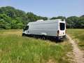 Iveco Daily 35S13 Wit - thumbnail 6