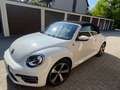 Volkswagen Beetle 1.2 TSI BMT SOUND CABRIOLET Wit - thumbnail 1