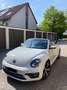 Volkswagen Beetle 1.2 TSI BMT SOUND CABRIOLET Wit - thumbnail 3