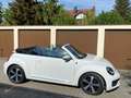 Volkswagen Beetle 1.2 TSI BMT SOUND CABRIOLET White - thumbnail 4