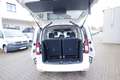 Volkswagen Caddy Family 2.0 TDI 7Si/LED/AppC/Kam/SH/17Zoll Weiß - thumbnail 17