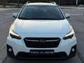 Subaru XV 1.6i Executive Plus CVT Blanco - thumbnail 5