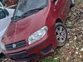 Fiat Punto 1.2i 16v ELX Rojo - thumbnail 1