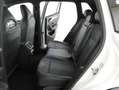 Volkswagen Tiguan Sport TDI 4MOTION DSG Weiß - thumbnail 12