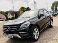 Mercedes-Benz ML 250 CDI BlueTec *AHK*LEDER*NAVI*PANORAMADACH* Schwarz - thumbnail 3
