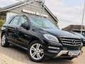 Mercedes-Benz ML 250 CDI BlueTec *AHK*LEDER*NAVI*PANORAMADACH* Schwarz - thumbnail 1