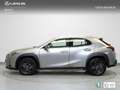 Lexus UX 250h Business 2WD Grijs - thumbnail 3