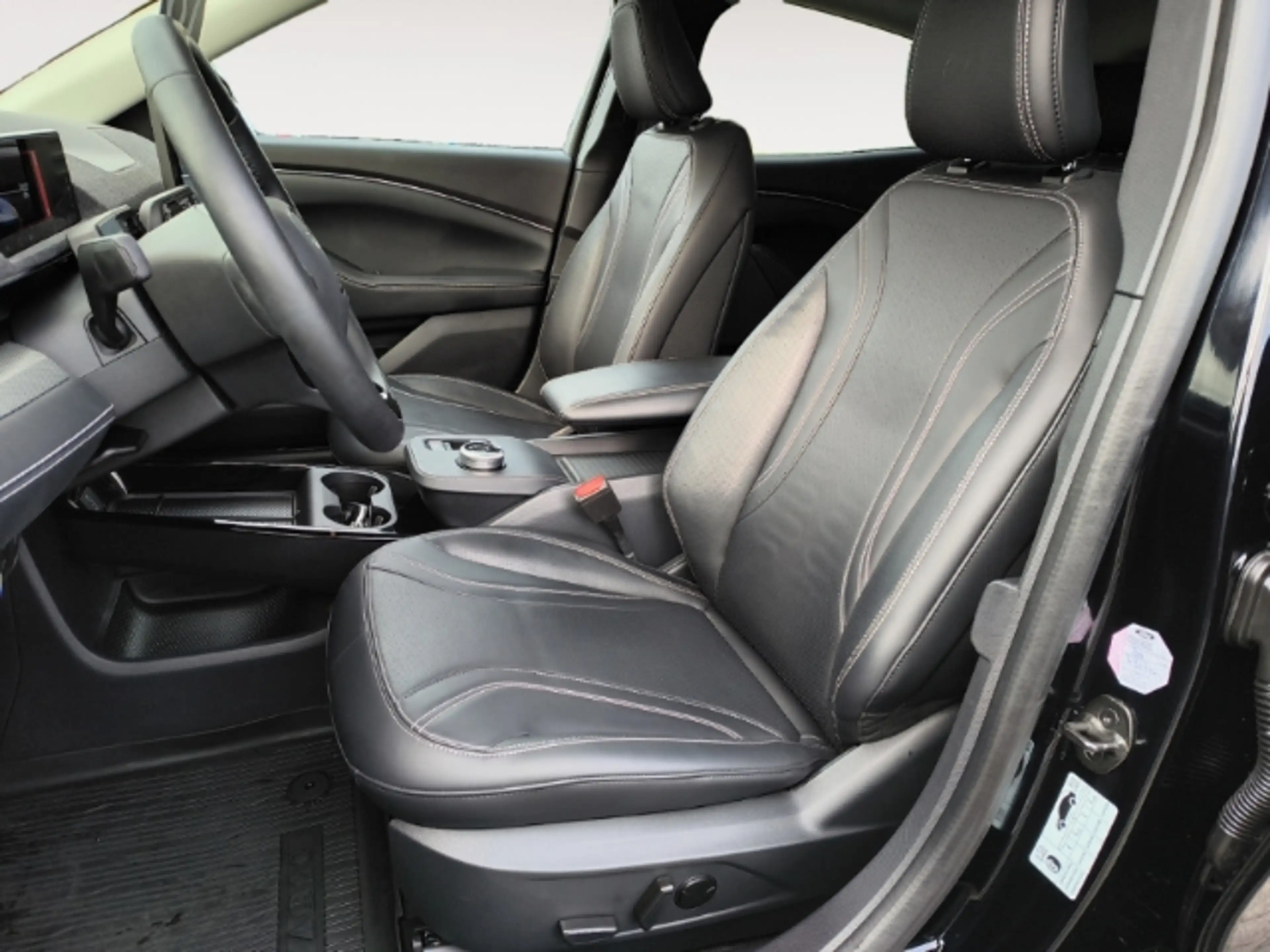 Ford Mustang Mach-E PANO-RFK 360°-LEDER-TOUCH-KEYLES- — photo 10