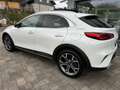 Kia XCeed 1.6 Platinum Edition*Pano*Automatik*4xSHZ Weiß - thumbnail 5