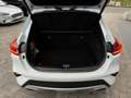 Kia XCeed 1.6 Platinum Edition*Pano*Automatik*4xSHZ Weiß - thumbnail 14