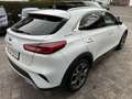 Kia XCeed 1.6 Platinum Edition*Pano*Automatik*4xSHZ Weiß - thumbnail 9