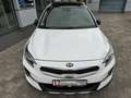 Kia XCeed 1.6 Platinum Edition*Pano*Automatik*4xSHZ Weiß - thumbnail 13
