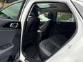 Kia XCeed 1.6 Platinum Edition*Pano*Automatik*4xSHZ Weiß - thumbnail 15