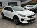 Kia XCeed 1.6 Platinum Edition*Pano*Automatik*4xSHZ Weiß - thumbnail 12
