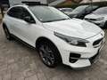 Kia XCeed 1.6 Platinum Edition*Pano*Automatik*4xSHZ Weiß - thumbnail 11