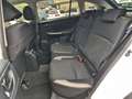 Subaru XV 2.0d S Unlimited 6mt E6 4x4 Bianco - thumbnail 6