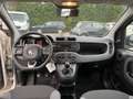Fiat Panda 1.3 mjt 16v Lounge s&s 95cv - thumbnail 7