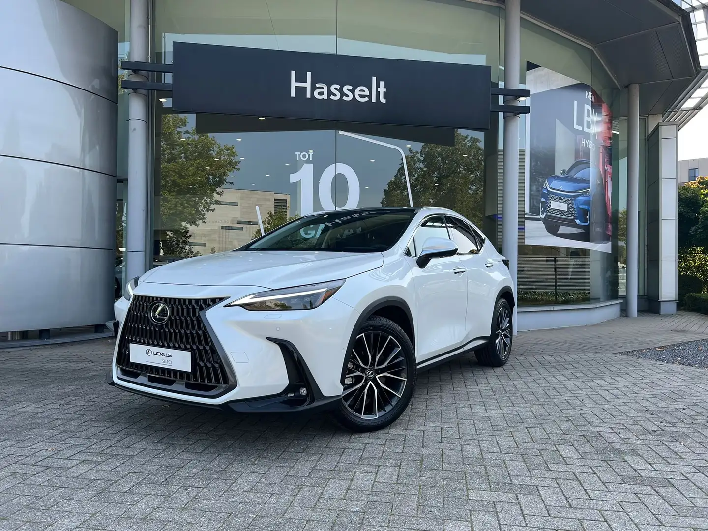 Lexus NX 450h+ NX 450h+ E-FOUR Privilege Line Bianco - 1