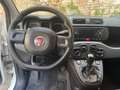 Fiat Panda Panda 0.9 t.air t. 4x4 s Bianco - thumbnail 7