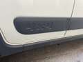 Fiat Panda Panda 0.9 t.air t. 4x4 s Bianco - thumbnail 11