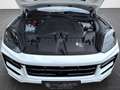 Porsche Cayenne GTS 18-WEGE PANO AHK STHZG CARBON INNODR Blanc - thumbnail 19