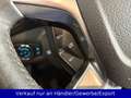 Ford Grand Tourneo Connect 7-Sitzer Automatik Pano Blau - thumbnail 15