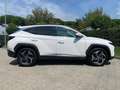 Hyundai TUCSON 3ª serie 1.6 HEV 4WD aut. Exellence Bianco - thumbnail 6