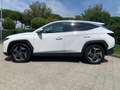 Hyundai TUCSON 3ª serie 1.6 HEV 4WD aut. Exellence Bianco - thumbnail 2